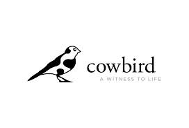 cowbird